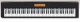 Casio CDP-200