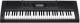 Casio CTK-3000