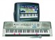 Casio LK-300TV-P